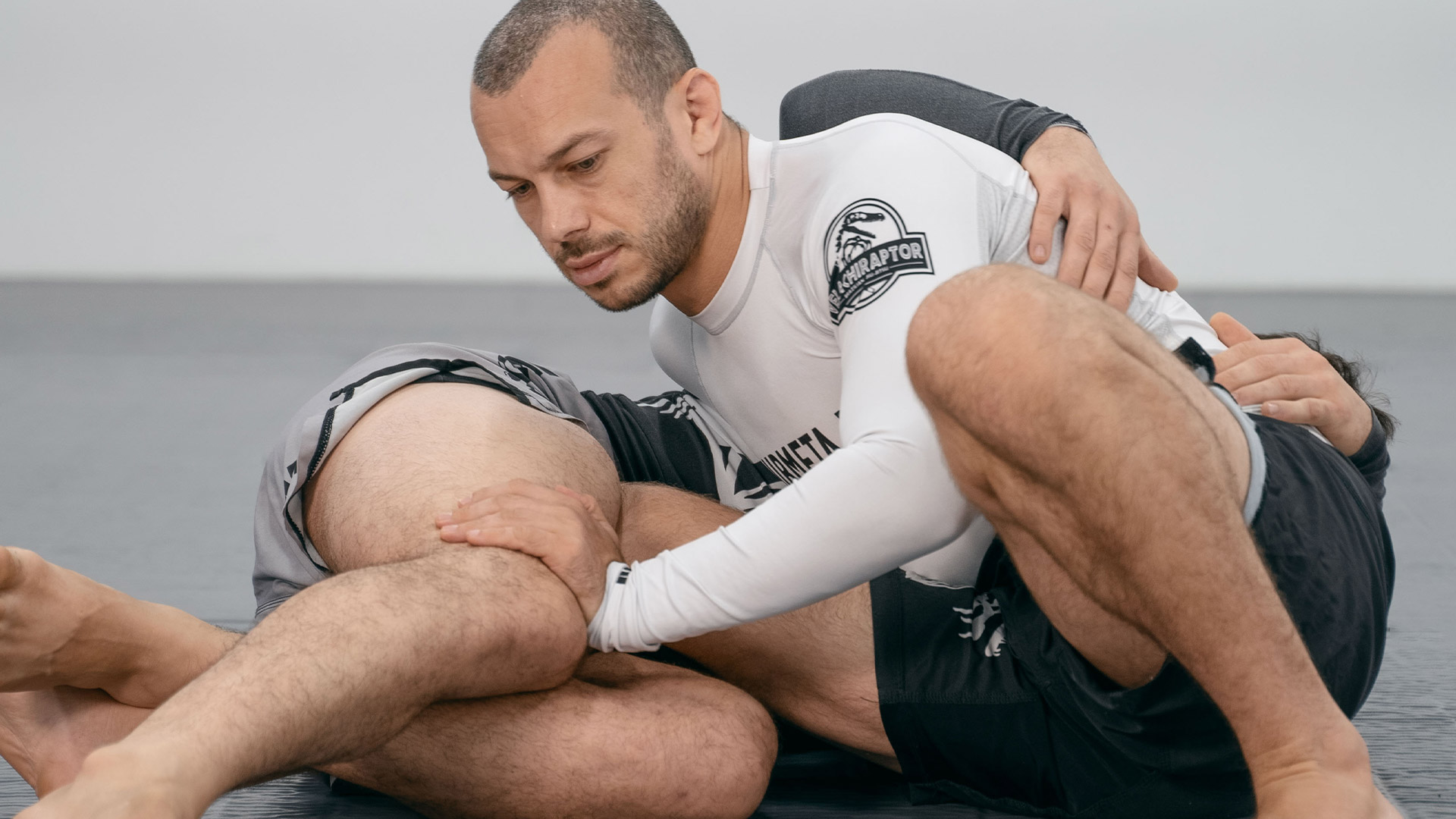 Passing Reverse Half Guard” by Lachlan Giles • SUBMETA