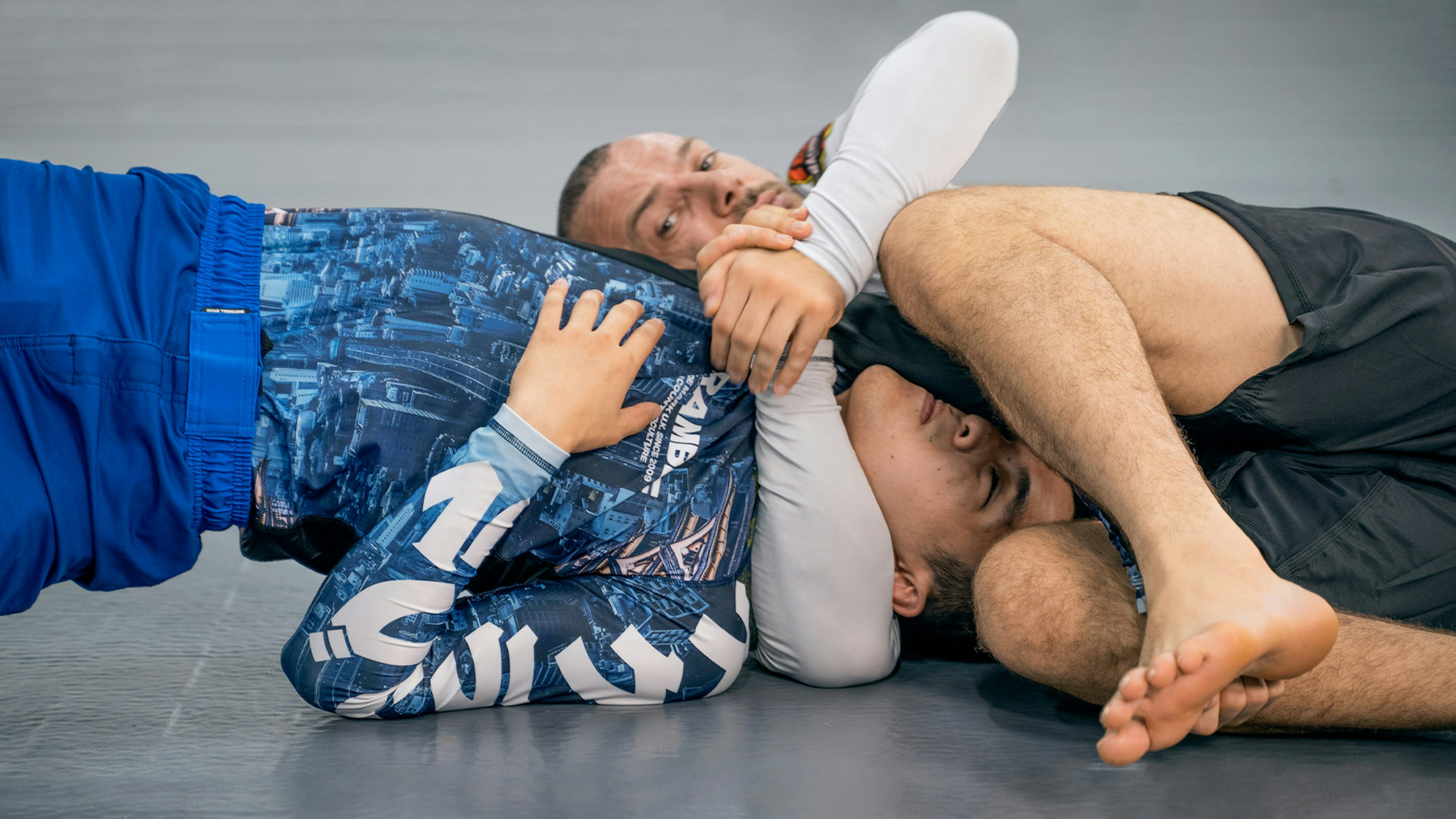 Inverted North South/Anaconda” by Lachlan Giles • SUBMETA